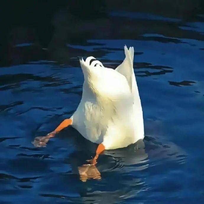 句号先生