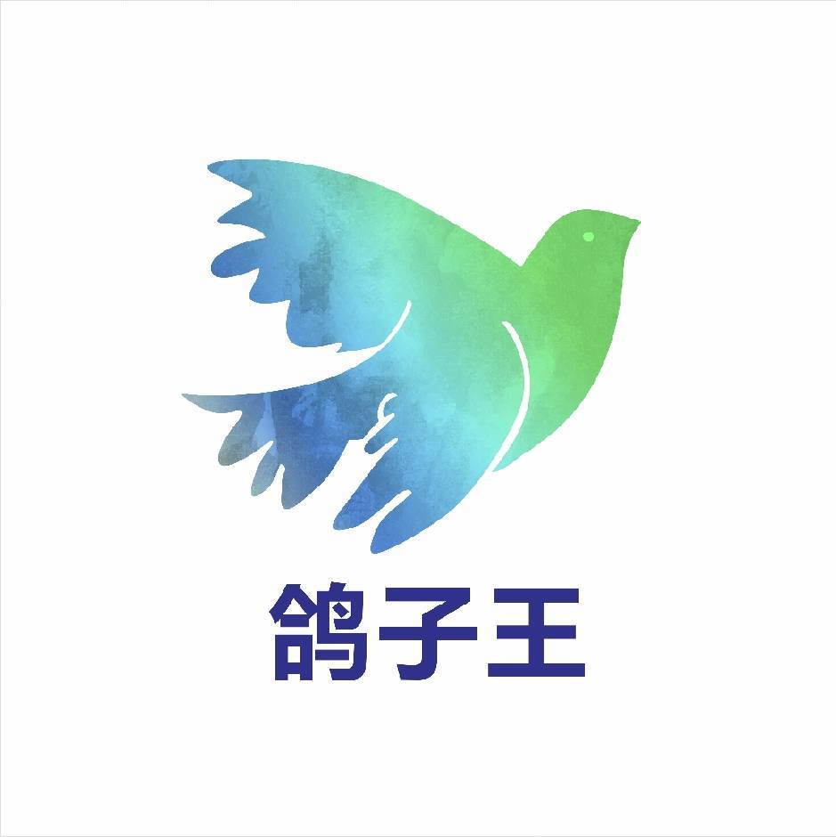 鸽子王赛鸽用品鸽药