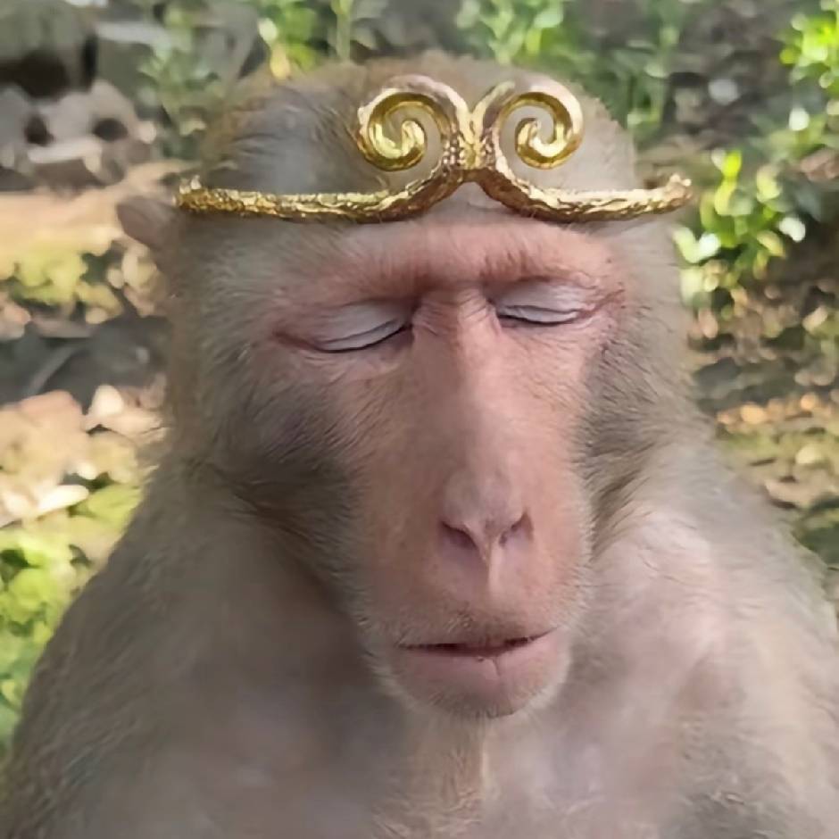 山上修炼千年的板蓝根