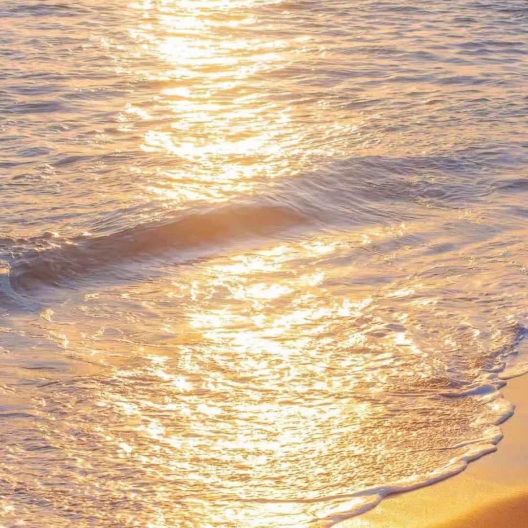 奥斯陆的八爪鱼🐙