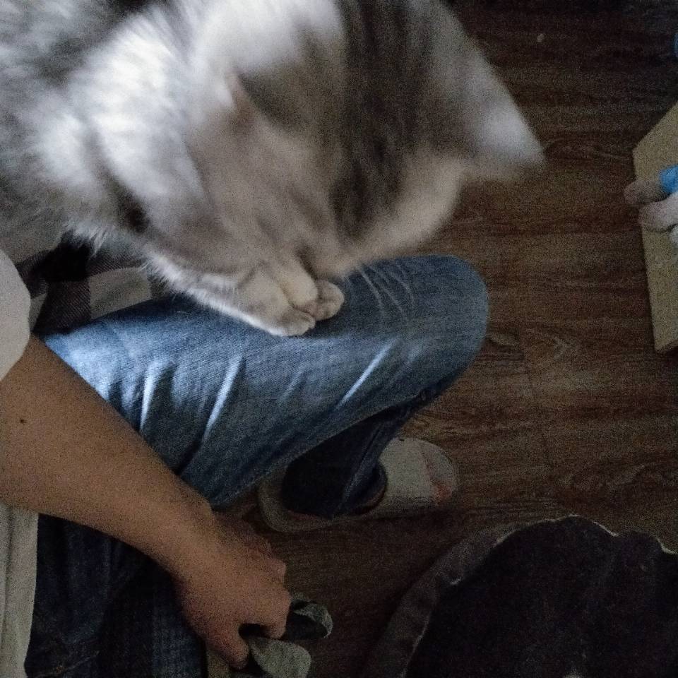 石头
