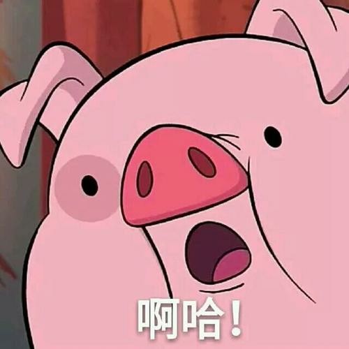 PIG-猪头