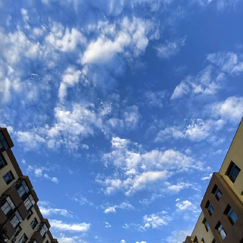 中爱代码