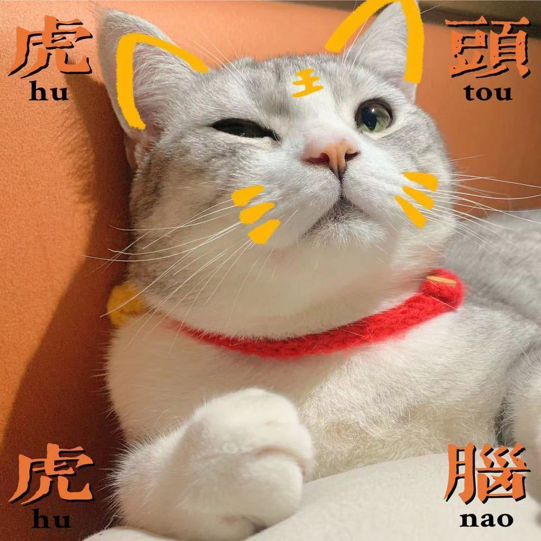 ~~~