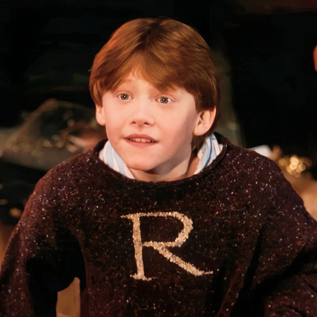 想养猫的代码狗