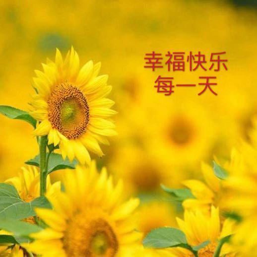 向阳