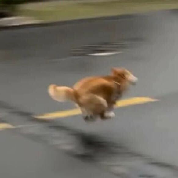 敖暖匠