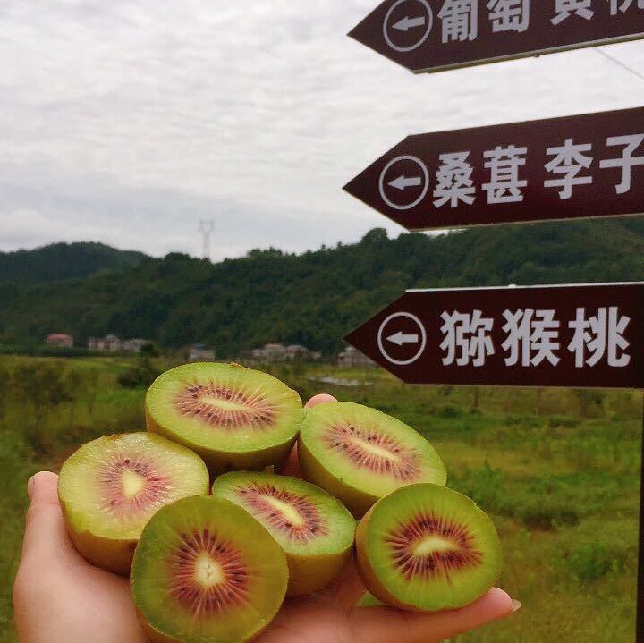 慈利县勇叔家庭农场