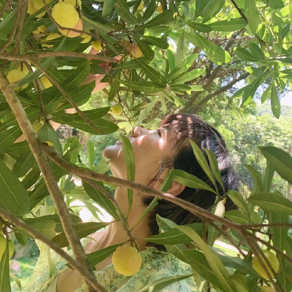 #Ling的拔草手帐