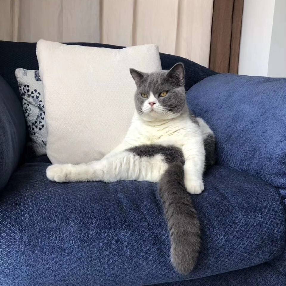 明天