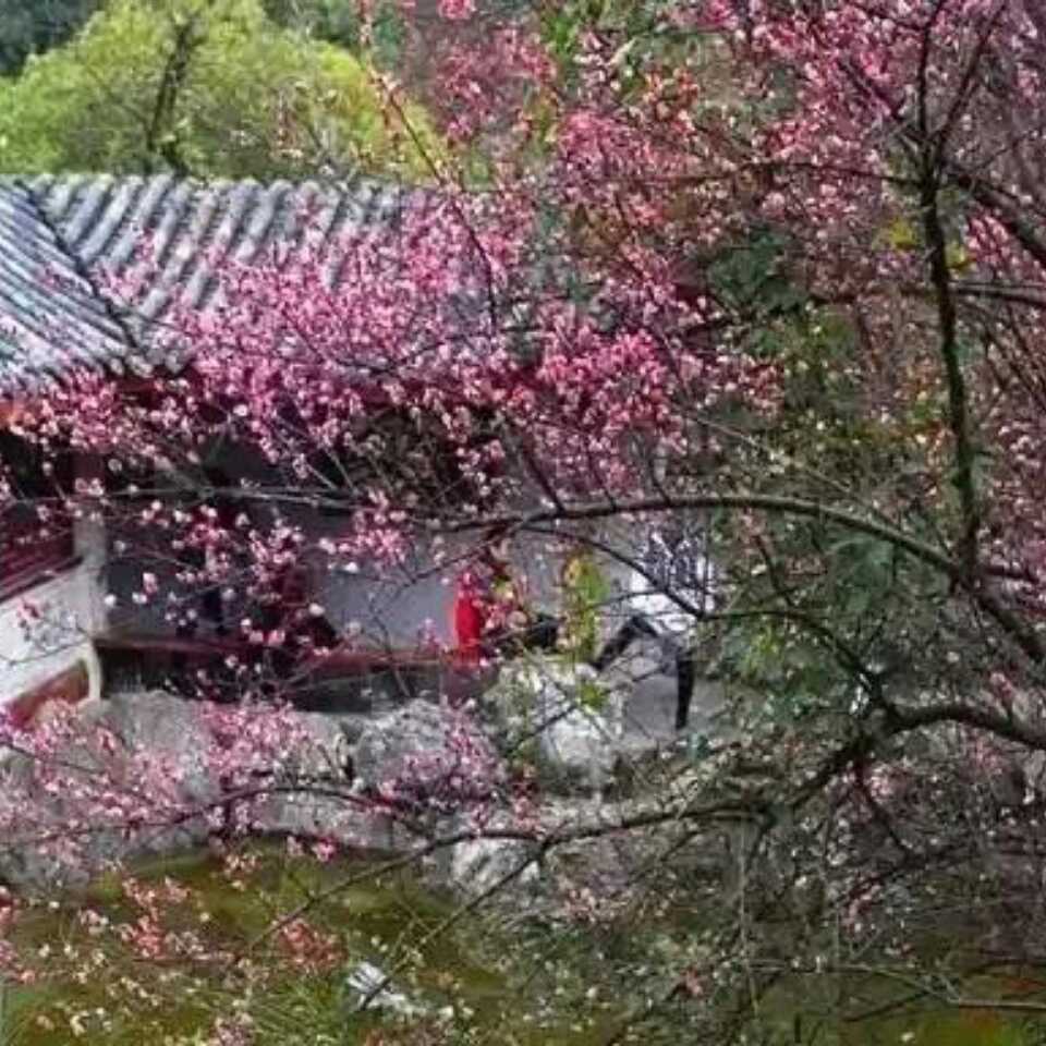 人生如梦