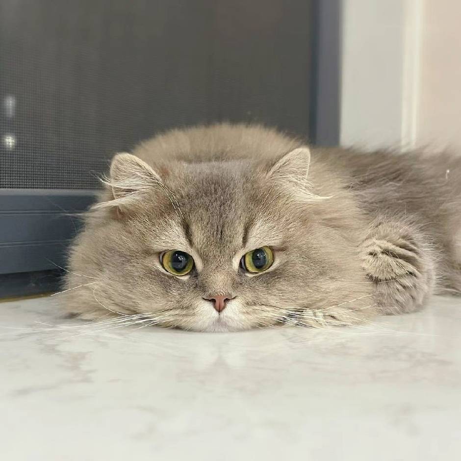 起风了