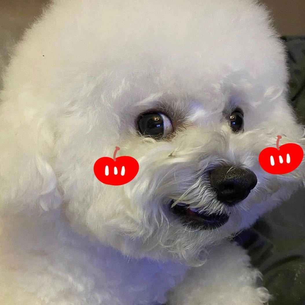 谈谈🍯