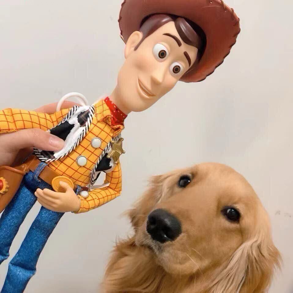 呀呀呀呀