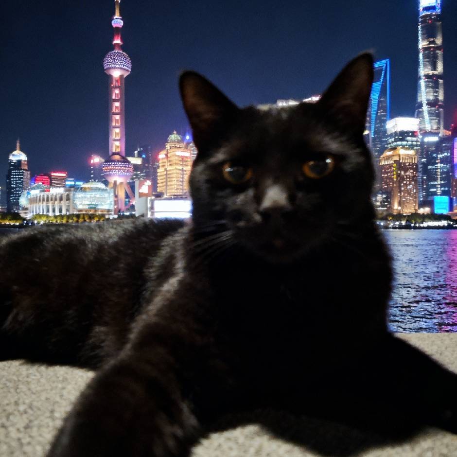 绿能总经理助理·慕英华