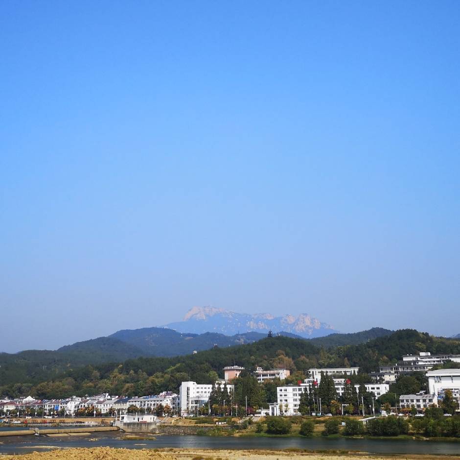 鹏