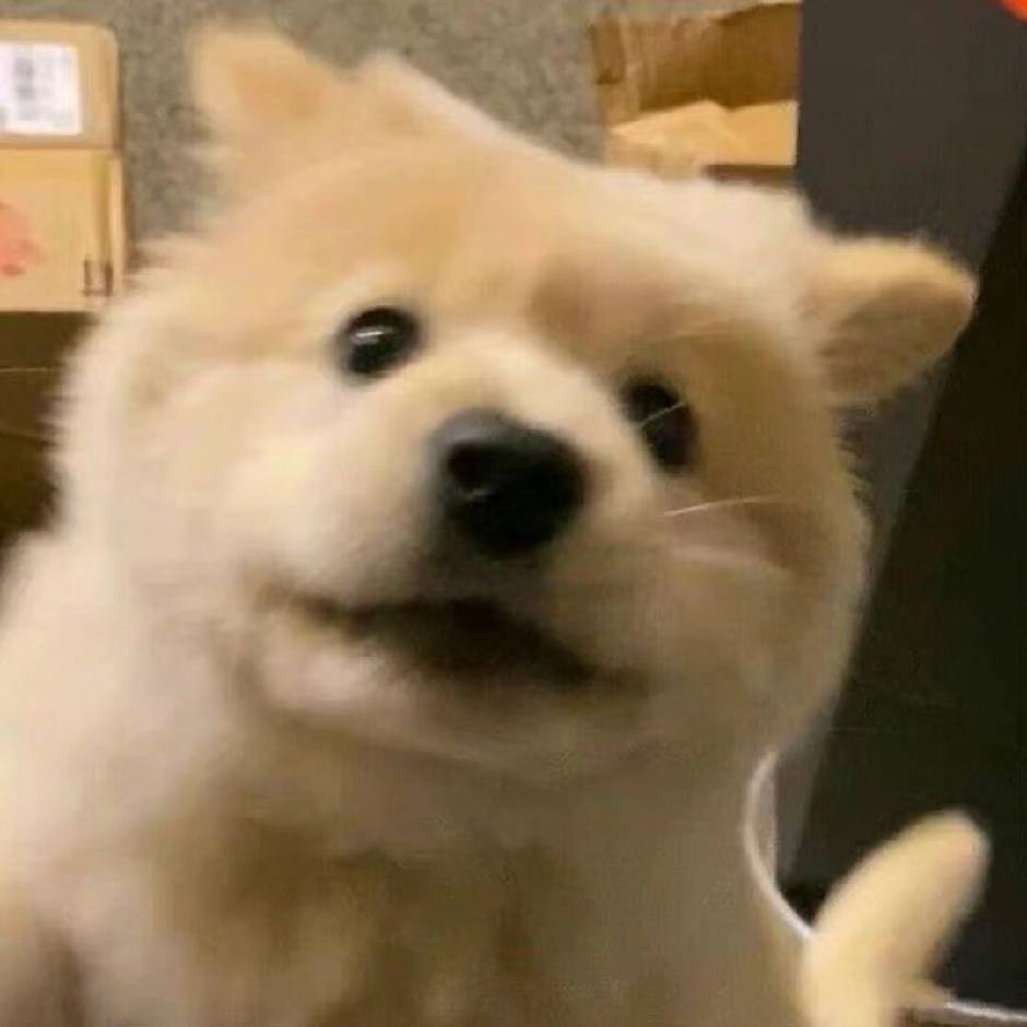 元圣