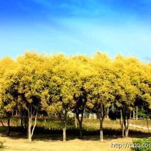 越过山丘