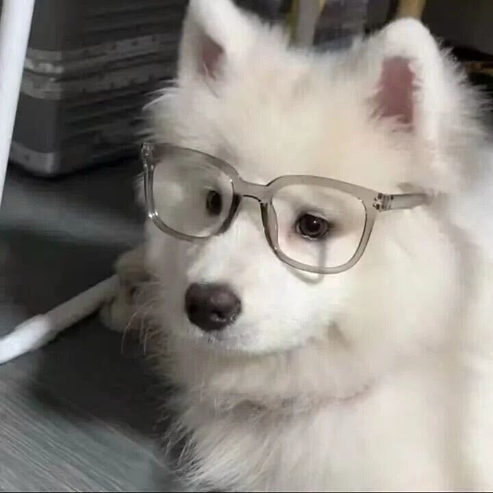 可乐鸡翅