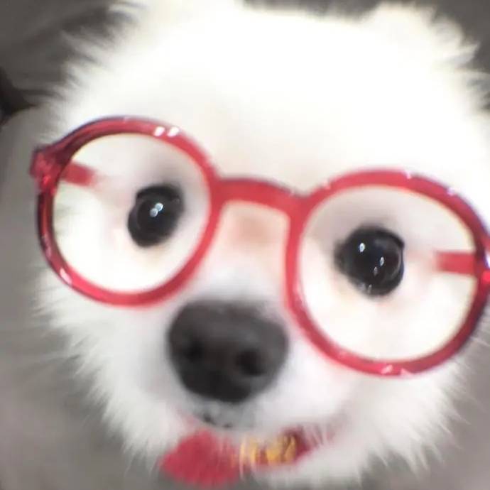 哎亚亚