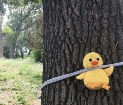 开心