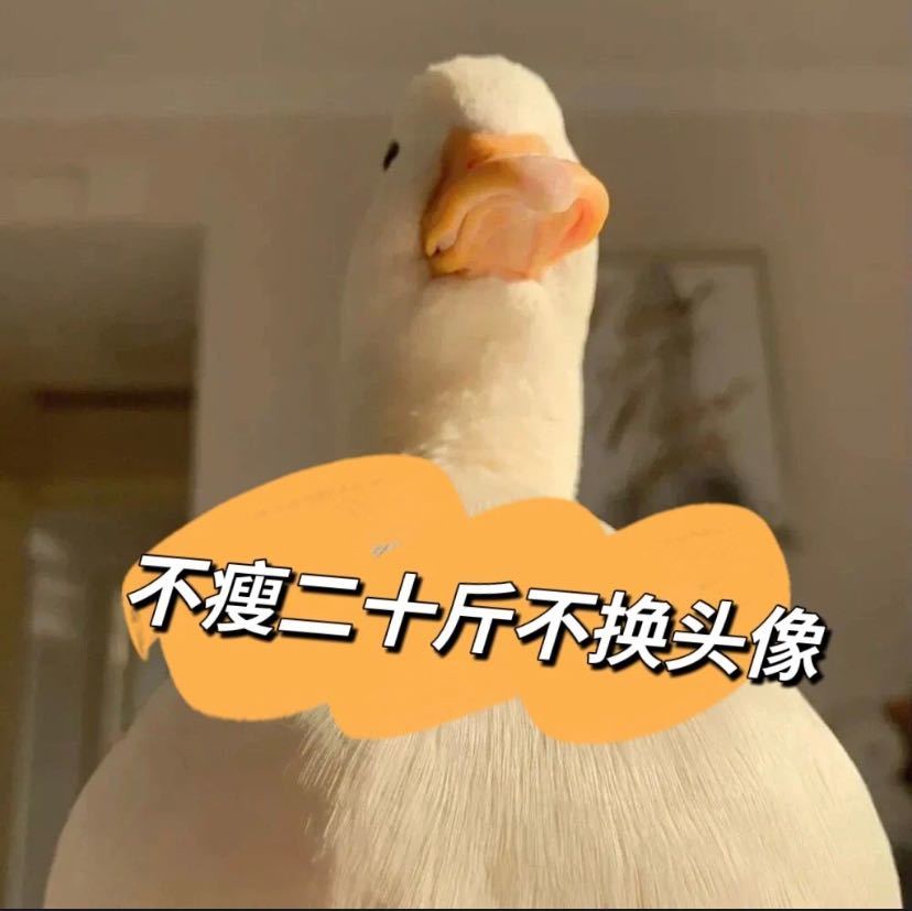 酷炫的大眠