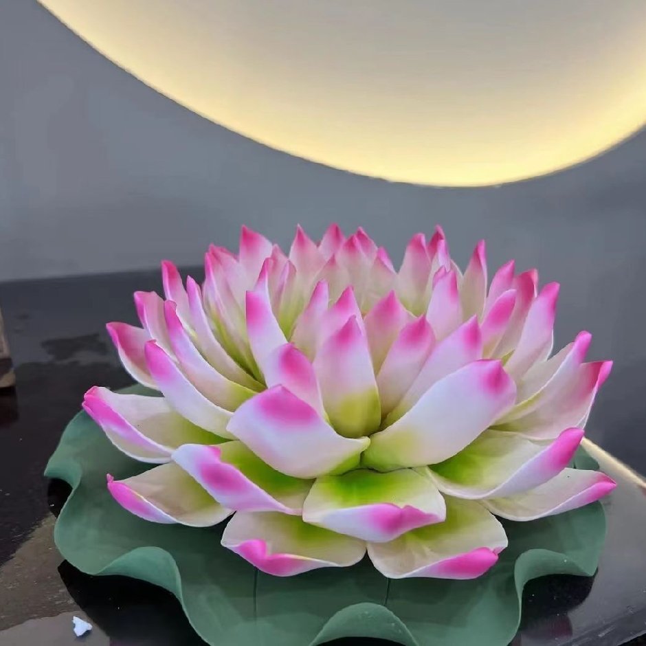 邢玉侠15046934972