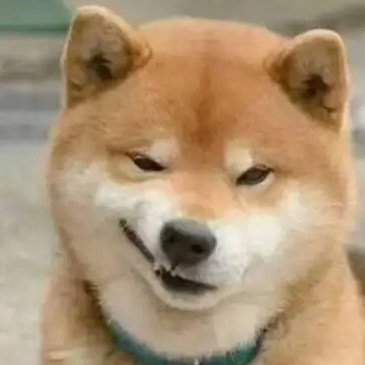 羽