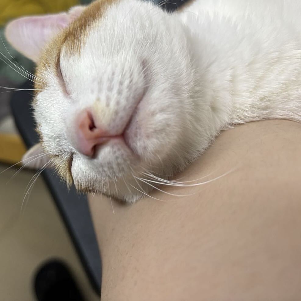 胡仲舜