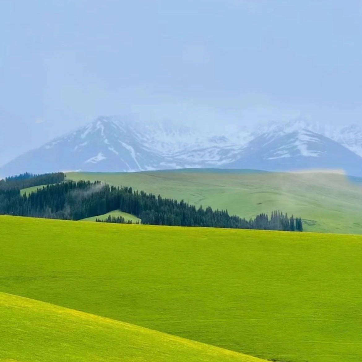 骑着蜗牛追飞机
