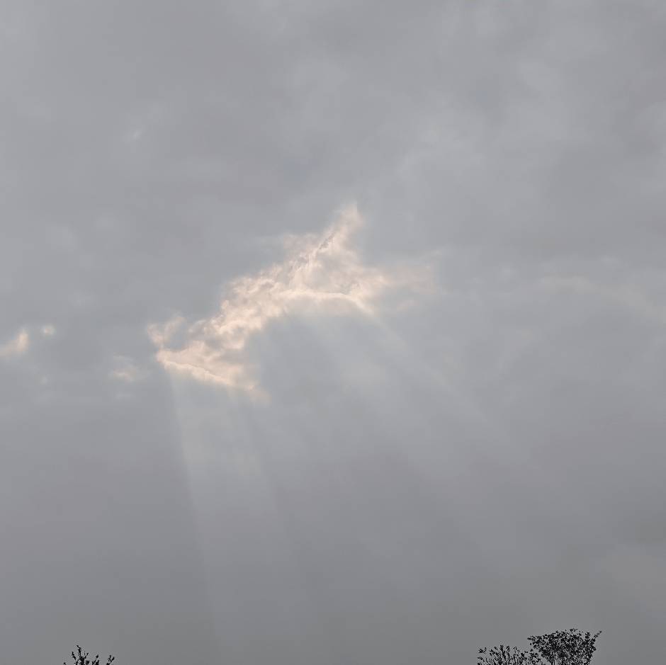 标题你放开