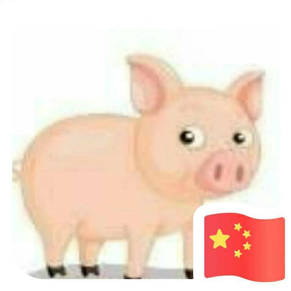 互猪农科真诚