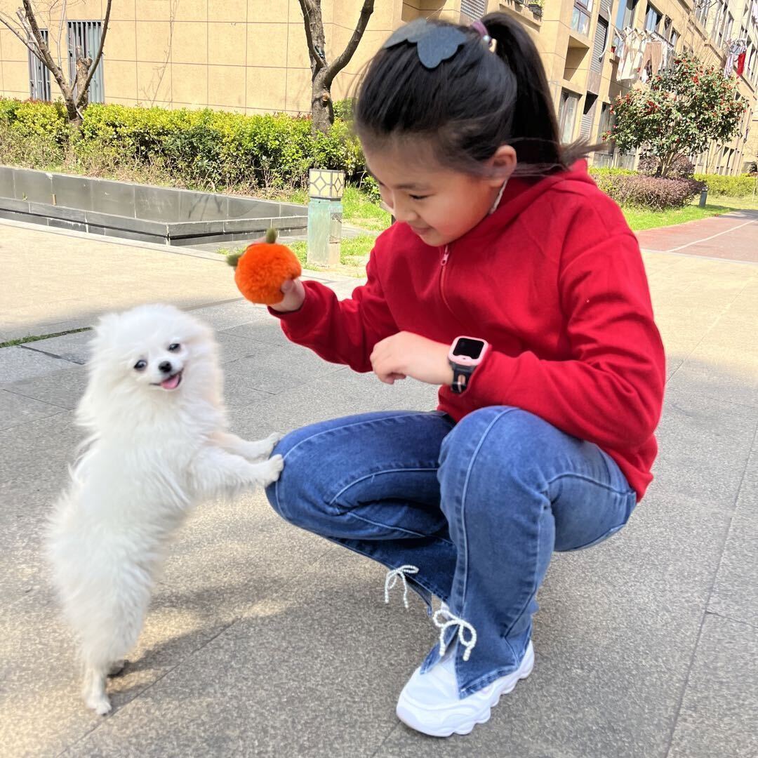 老妈秘制小汉堡