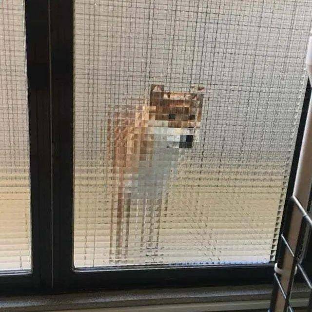 DefaultValue