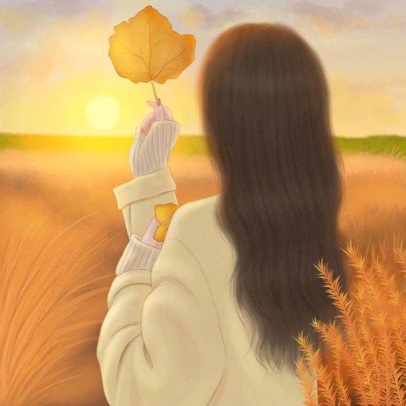 梳子