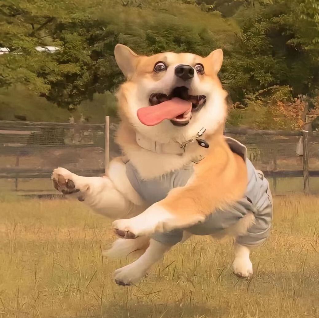 小程序开发刘大宝