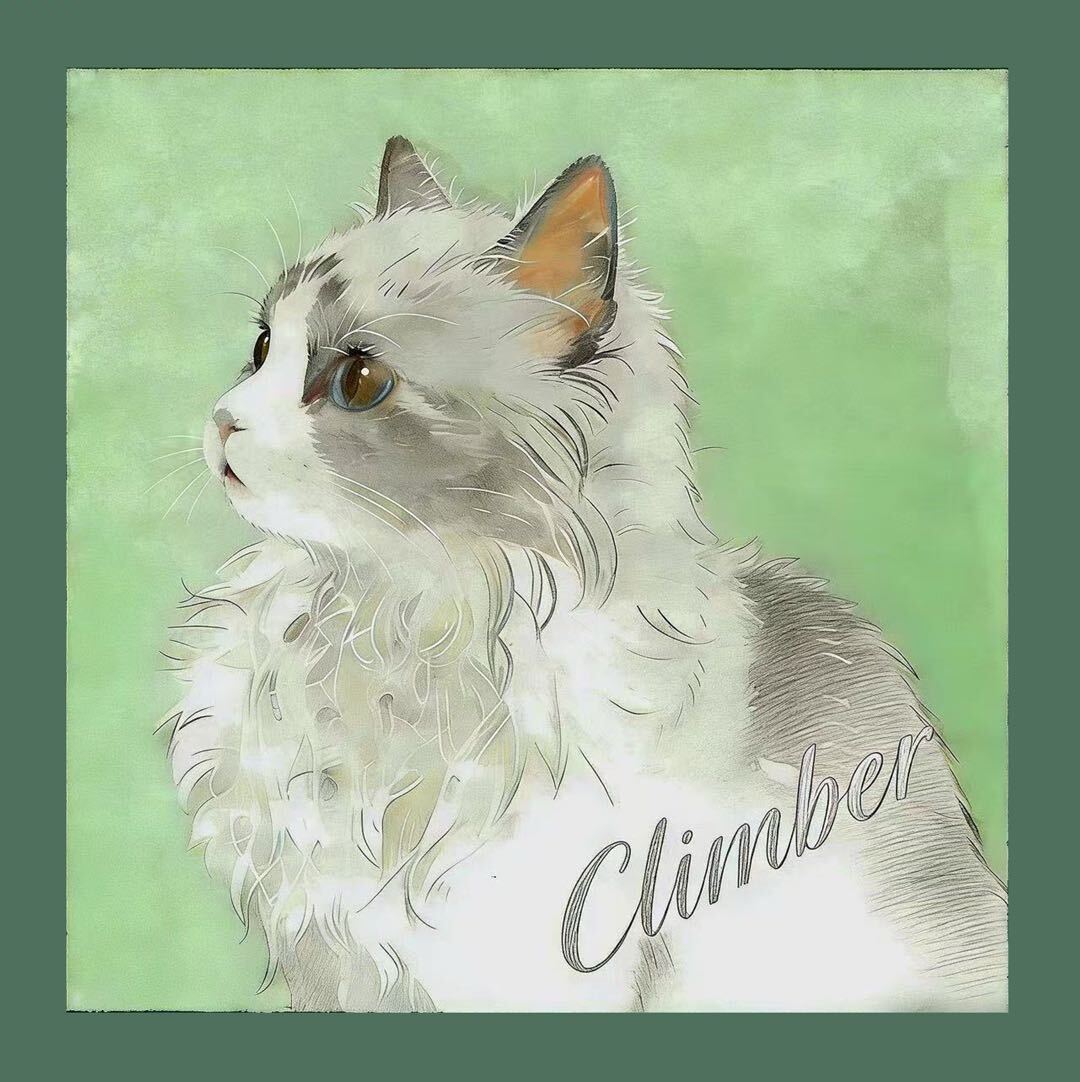 Climber