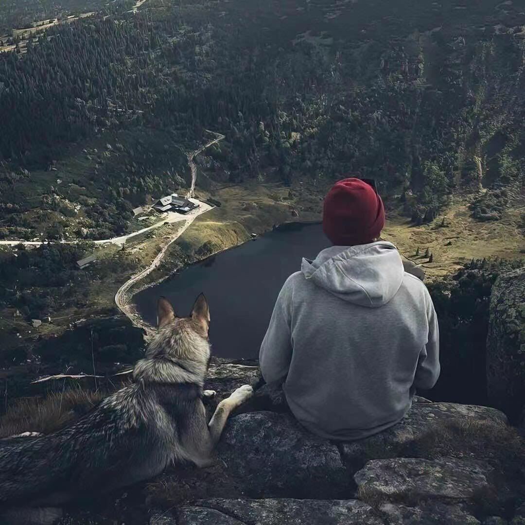 A8加不上搜工重号(斗斗专家)