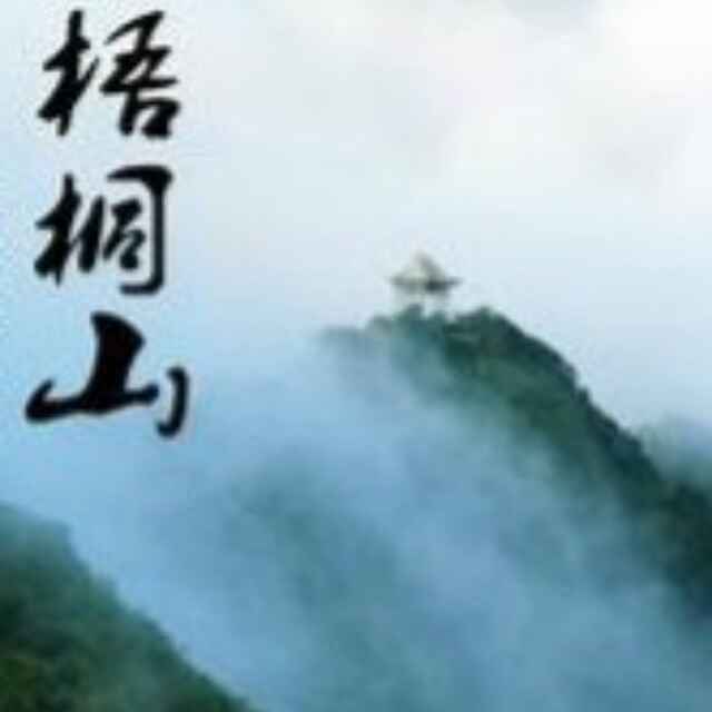 客隐梧桐