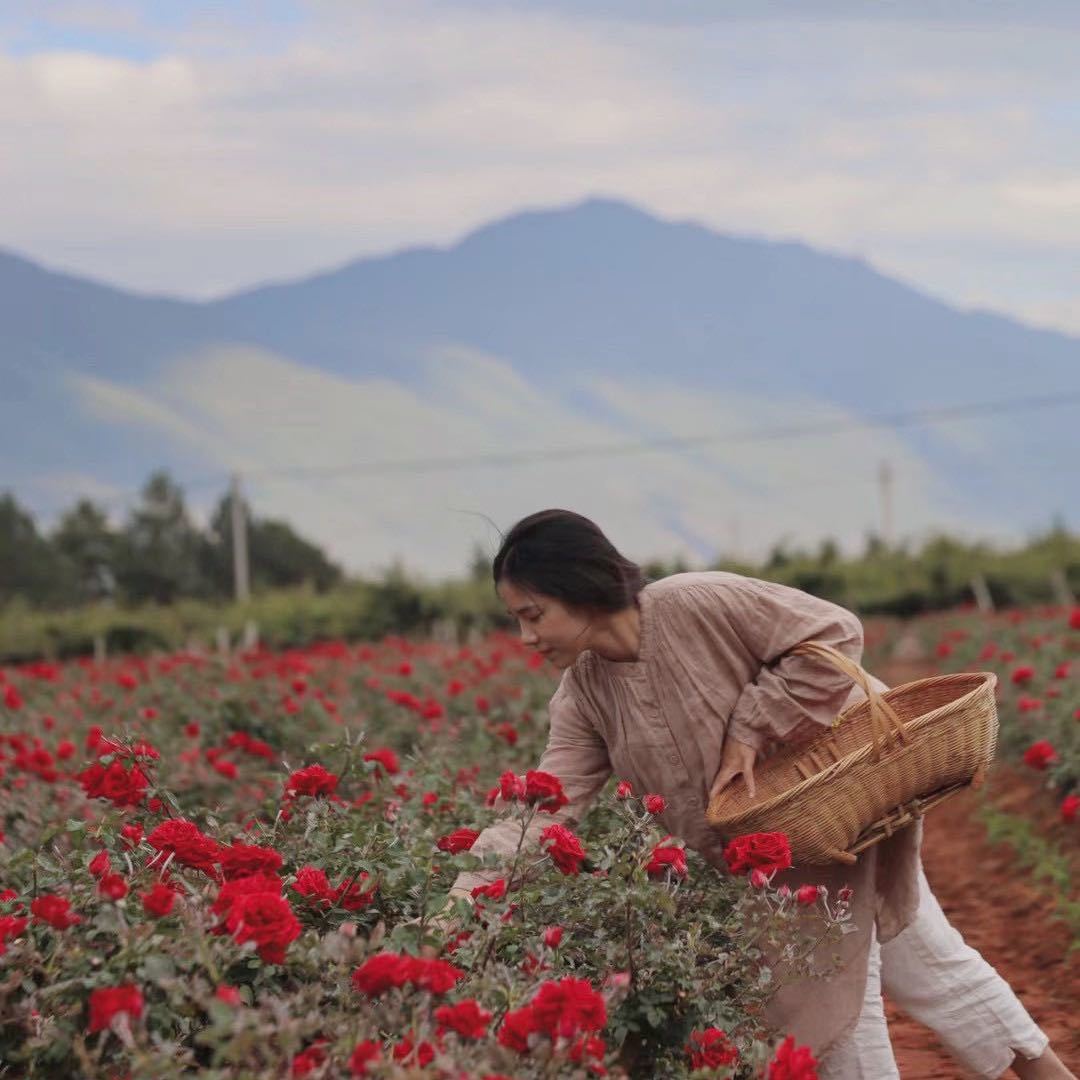 素人兮(周小婷)