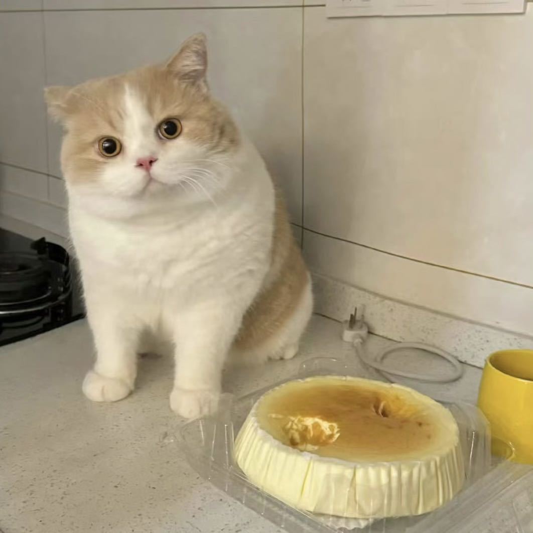 汤圆儿