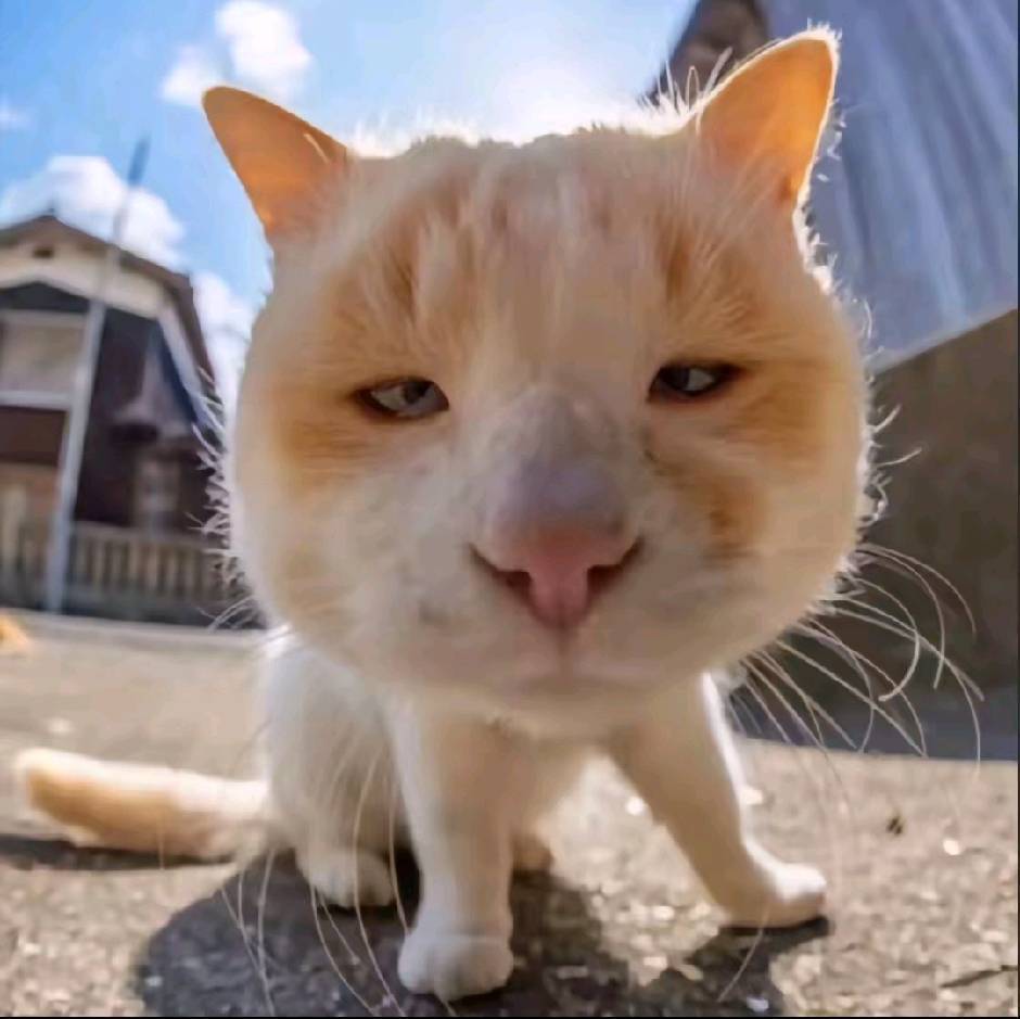 清阳