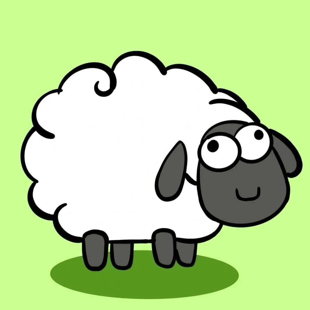 sheep了个sheep