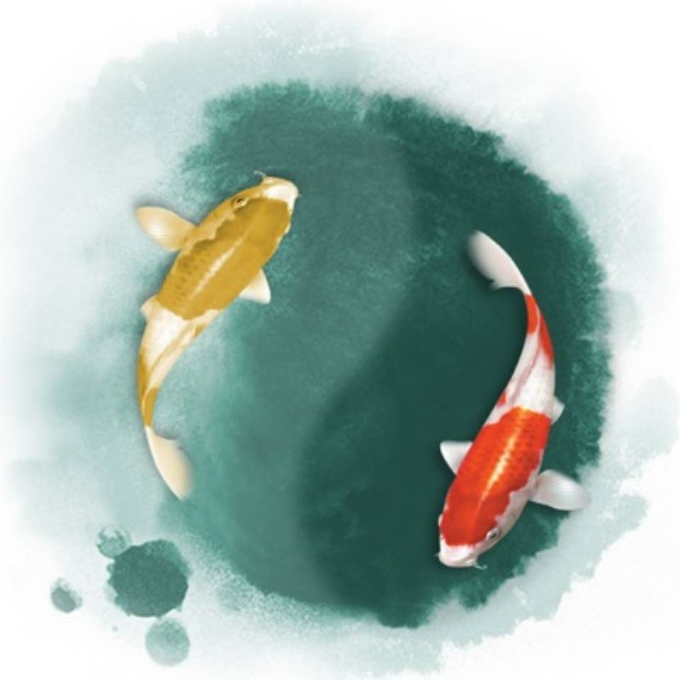 劳动合同法实务操作与案例精解（增订7版）