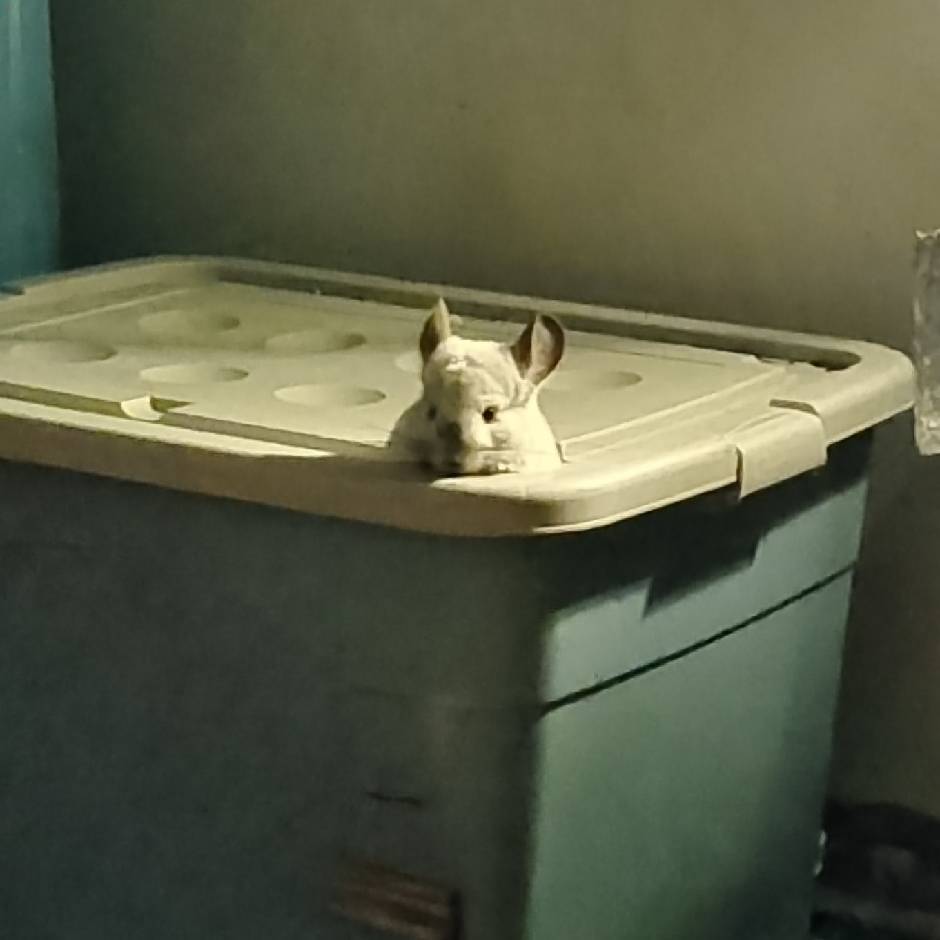 陈暖