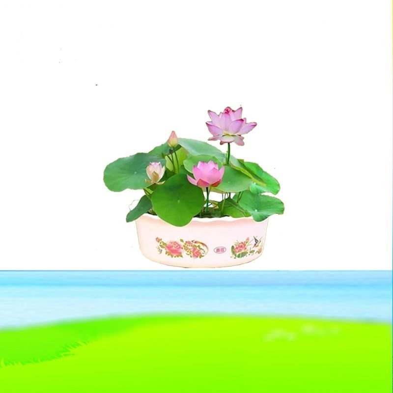 小猫咪