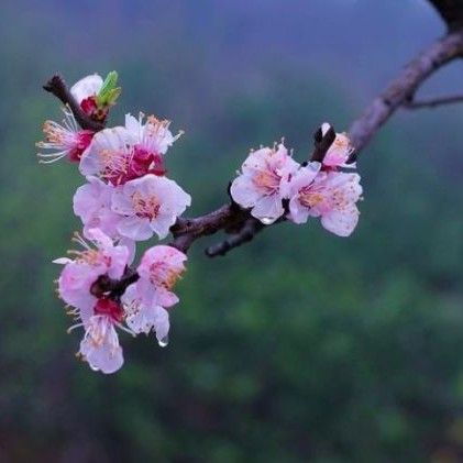 用戶頭像