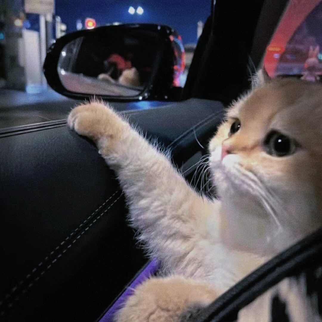 梓遇