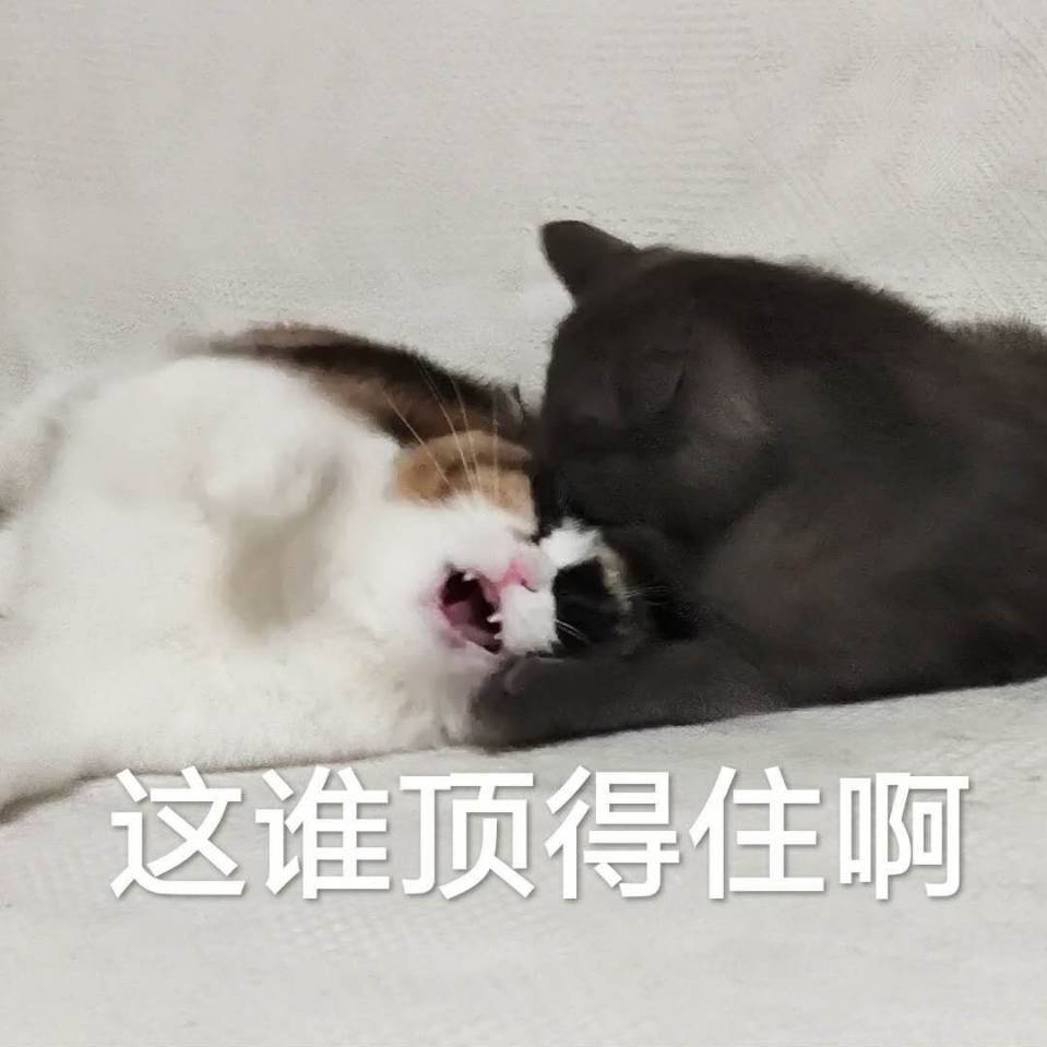 深渊丶