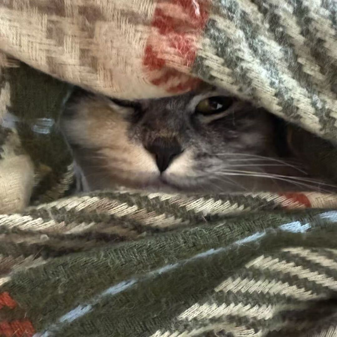 王润